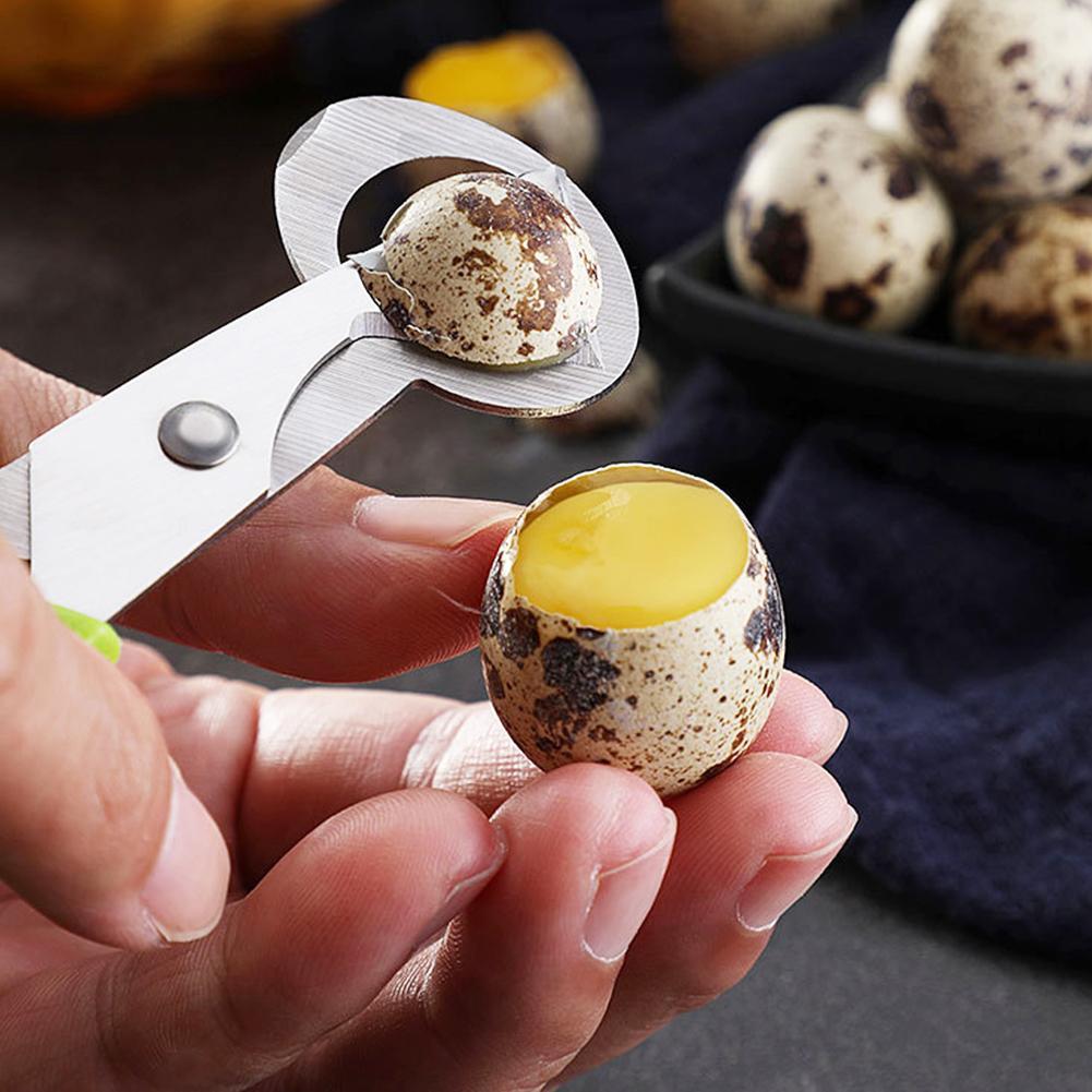 Piccione Quaglia Open Crack Pi - Egg Separator Tool recensione e prezzo