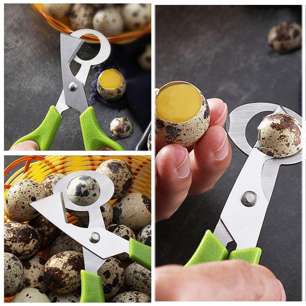 Piccione Quaglia Open Crack Pi - Egg Separator Tool recensione e prezzo
